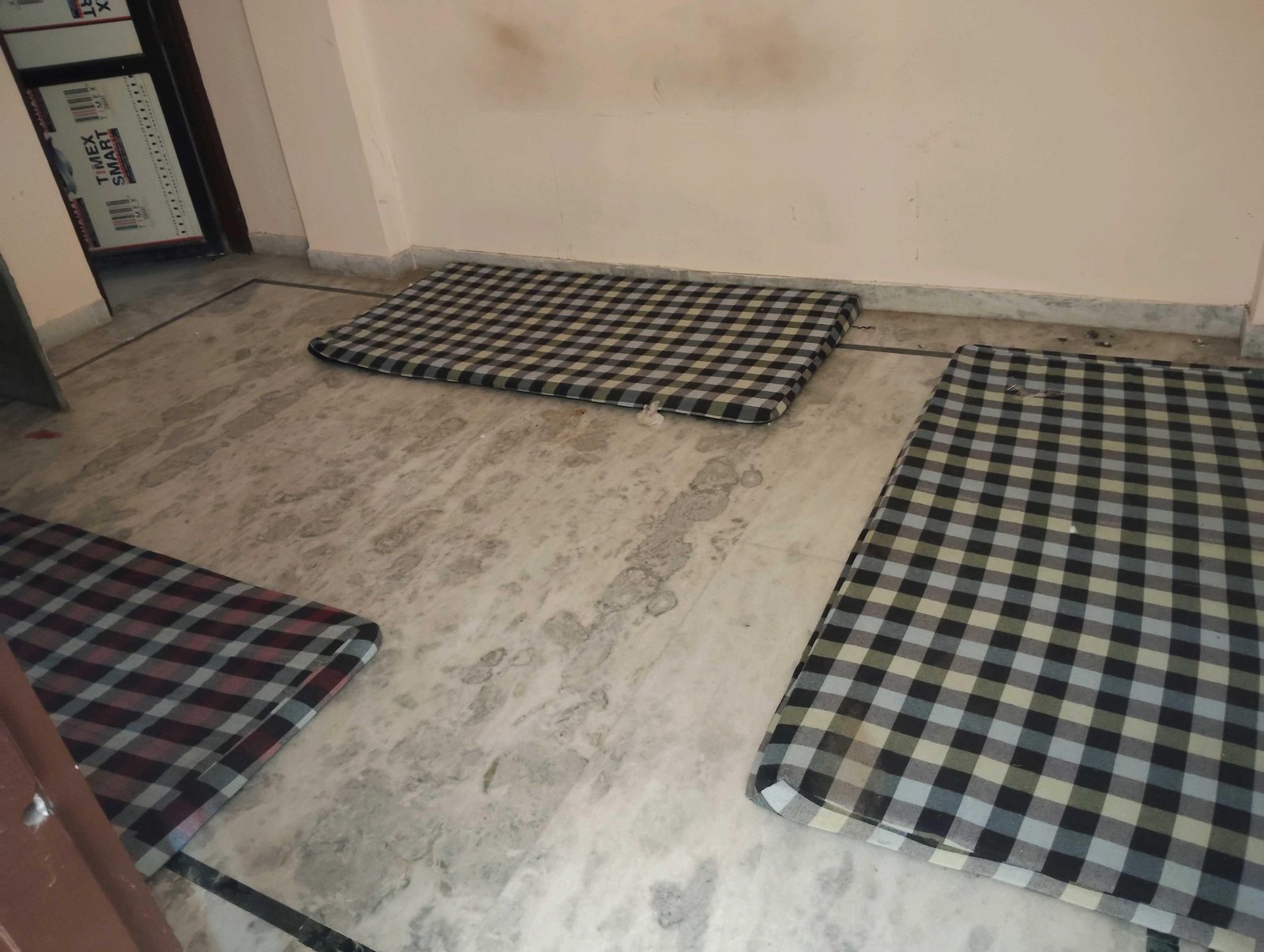 668865809O-1762400776485