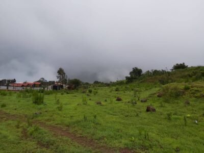 Agricultural Land for Farmhouse And Resort Development in Mahabaleshwar