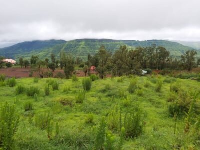Agricultural Land for Farmhouse And Resort Development in Mahabaleshwar