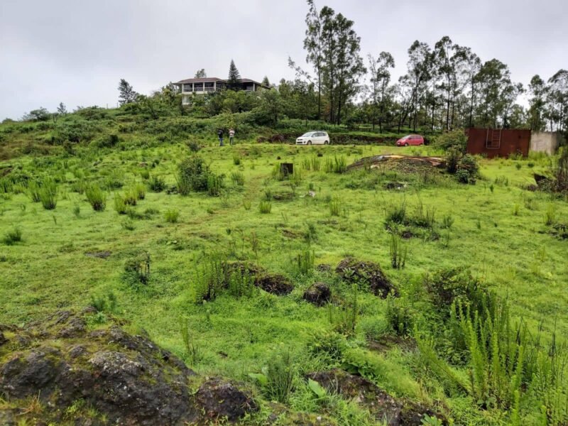 Agricultural Land for Farmhouse And Resort Development in Mahabaleshwar