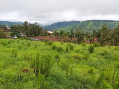 Agricultural Land for Farmhouse And Resort Development in Mahabaleshwar