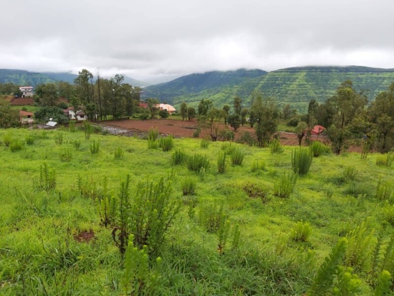 Agricultural Land for Farmhouse And Resort Development in Mahabaleshwar