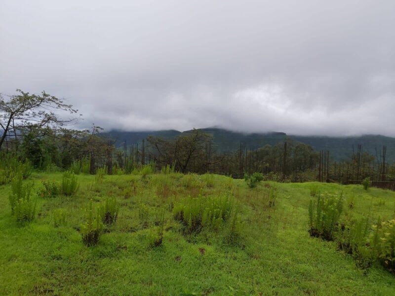 Agricultural Land for Farmhouse And Resort Development in Mahabaleshwar