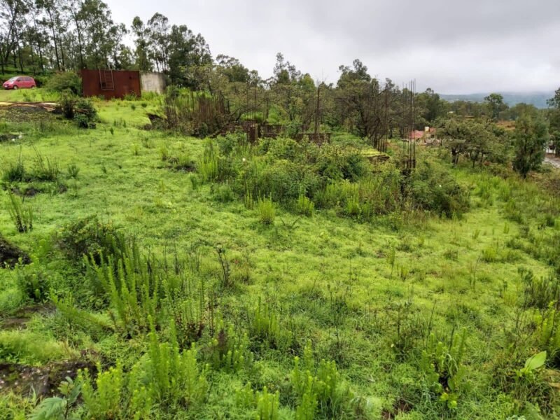Agricultural Land for Farmhouse And Resort Development in Mahabaleshwar